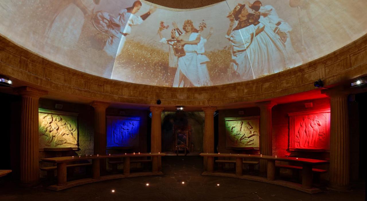 Wine & Complex מלון 4*